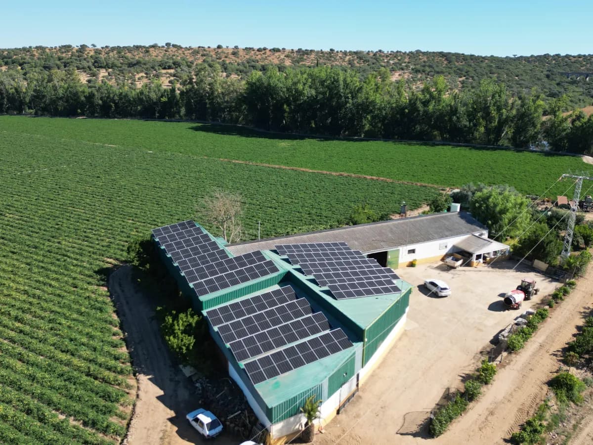 Instalación solar en Finca La Moheda — 120 módulos bifaciales en cubierta agrícola, Villanueva de la Serena